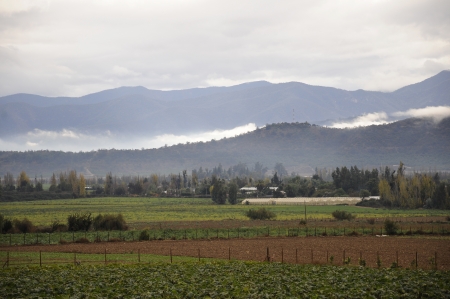 Winter landscape in the fieldの写真素材