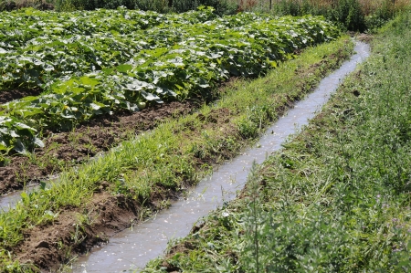 irrigation channelの写真素材