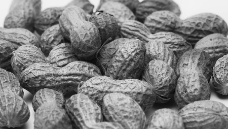 Black and white roasted peanutsの写真素材