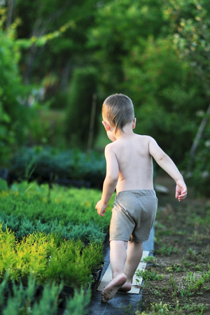 Child in the garden in the eveningの写真素材