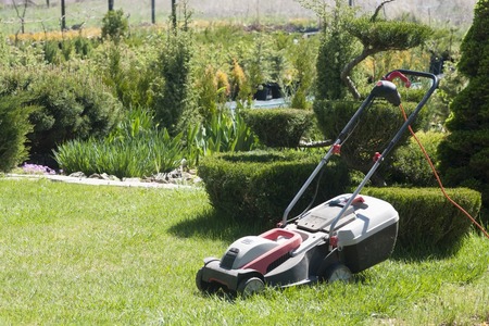 Lawn-mower in the garden.の写真素材