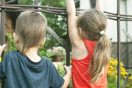 The little boy and girl watches the cafe with curiosity from behind the fence.の写真素材