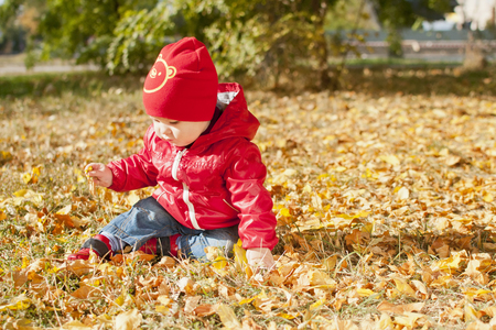 A small child in a red jacket sits on fallen autumn leavesの写真素材