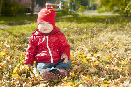A small child in a red jacket sits on fallen autumn leavesの写真素材