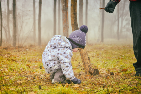 A little boy is walking in an autumn parkの写真素材
