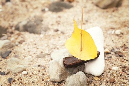A boat made of a yellow autumn leaf on the river bank, toned photo, concept, anの写真素材