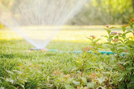 Watering the lawn with a sprinklerの写真素材