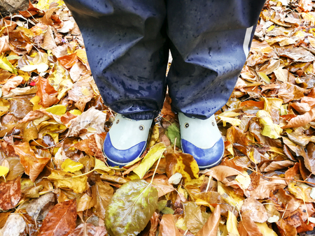 The concept of autumn with colorful leaves and childrens rubber boots, top view