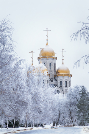 Domes of a church in a winter snow-covered parkの写真素材