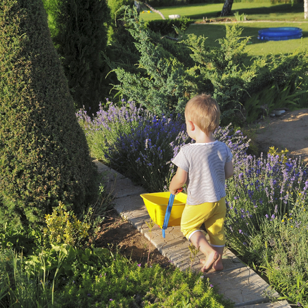 The kid is carrying a toy garden cart in a country houseの写真素材