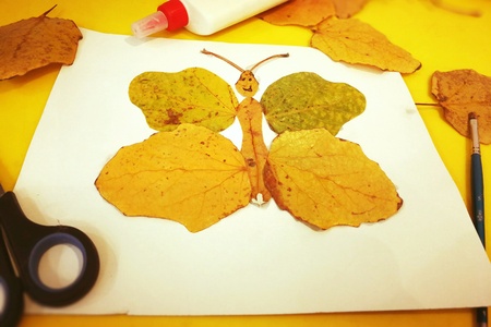 Childrens hand-made from yellow autumn leaves in the form of a butterfly, childrens creativity,の写真素材