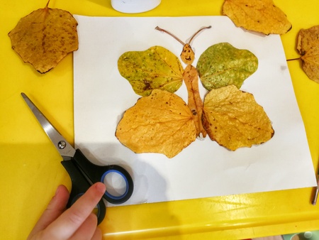 Childrens hand-made from yellow autumn leaves in the form of a butterfly, childrens creativity,の写真素材
