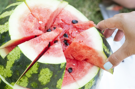 Sliced slices of a ripe watermelon on green grassの写真素材