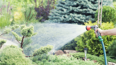 Hand garden hose with water spray, watering flowers, close-up, water splashes, landscape design, alpine slideの写真素材