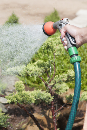 Hand garden hose with water spray, watering flowers, close-up, water splashes, landscape design, alpine slideの写真素材