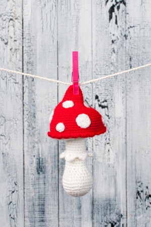 Children s toy hanging on the clothesline の写真素材