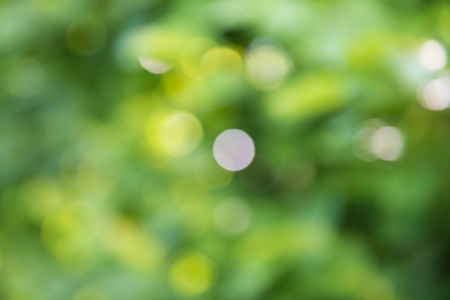 blur lights , defocused background  green.の写真素材