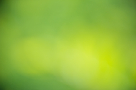 Green natural bokeh with sunlight of summer の写真素材