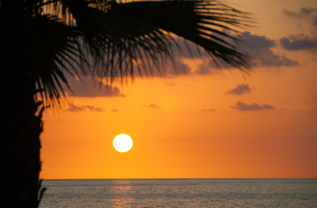 Evening sea, palm trees, sunsetの写真素材