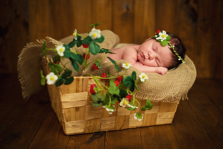 Newborn baby girl has sweet dreams in strawberriesの写真素材
