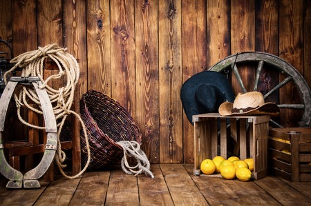 Still in cowboy style on wooden boardsの写真素材