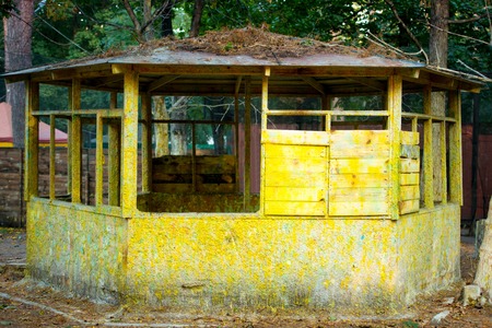 Old wooden ruined house is yellow. Rural abandoned hut. Abandoned house.の写真素材