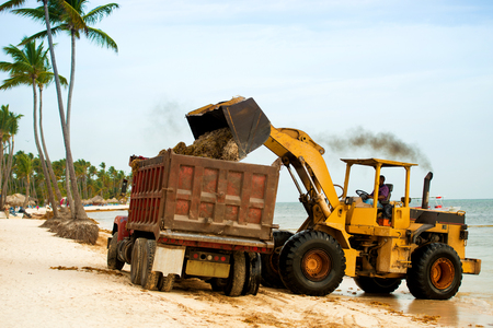 Cleaning the beach from algae with a tractor and dumper.の写真素材