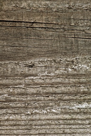 Brown wood texture. Abstract background empty template.