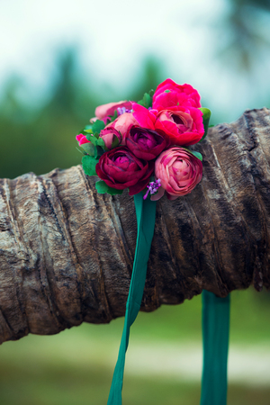A beautiful wreath of flowers lies on a palm tree.の写真素材