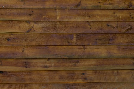 texture of bark wood use as natural background.