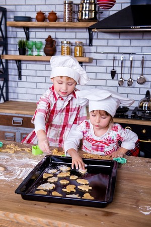 Children girl and boy in a cooking chef's hat cook in the kitchen, spread gingerbread on a baking sheet.の写真素材