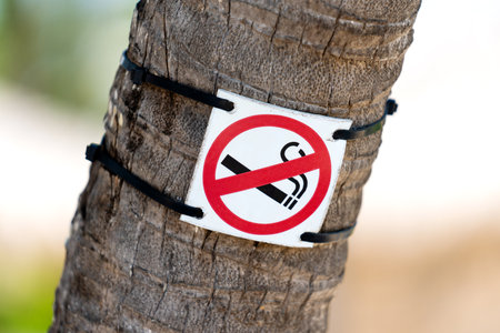 No smoking sign on a palm tree trunk, close up. high quality photoの写真素材