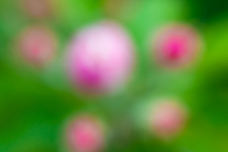 Abstract blurred background of pink flower buds on a green background, defocus. high quality photoの写真素材