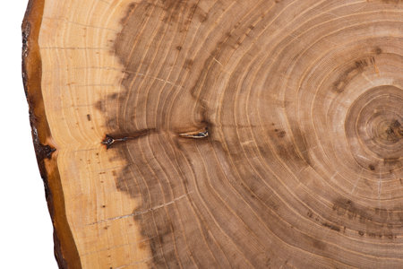 Wooden texture with natural patterns as a background, top view.の写真素材