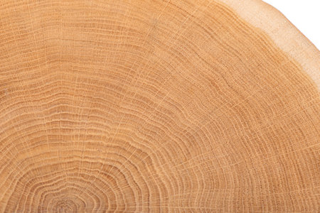 Wooden cutting board closeup. Texture of tree stump with annual rings.の写真素材