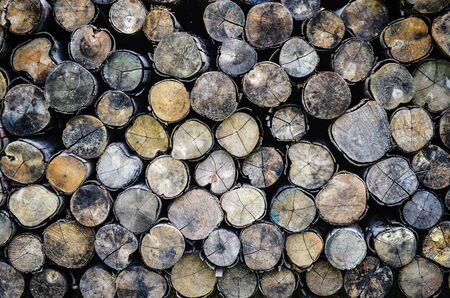 Wood textured background