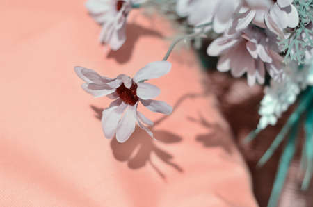 Flower background, flower vintage styleの写真素材