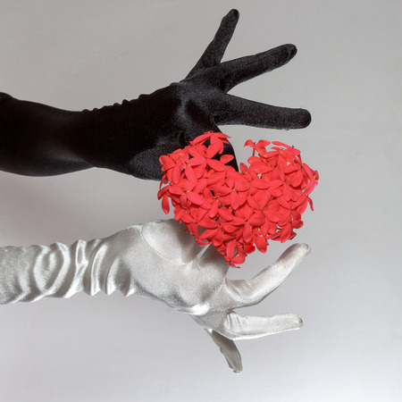 Black and white elegant female gloves holding heart shaped flowers isolated on white backgroundの写真素材