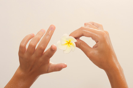 Golden tinted photo of female hands in oil holding magnolia flower on beige background view 6の写真素材