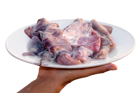 Photo with shallow DOF of female hand holding plate of raw squids on ice isolated on white...