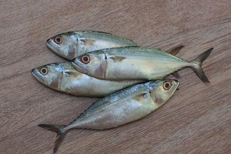 Fresh tuna ready for cooking on wooden background view 2の写真素材