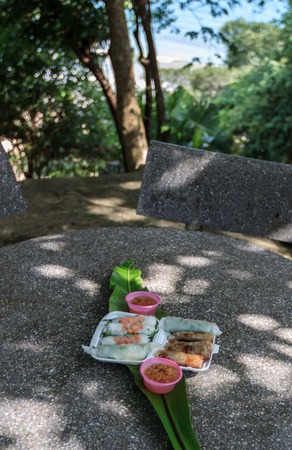 Vietnamese spring rolls with lettuce, mint, shrimp and vermicelli (Cha gio) fresh and deep fried served with spicy sauce on a stone table outdoors in a tropical park, side view 1の写真素材