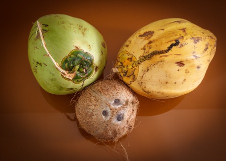 three different coconuts on table, horizontal top viewの写真素材