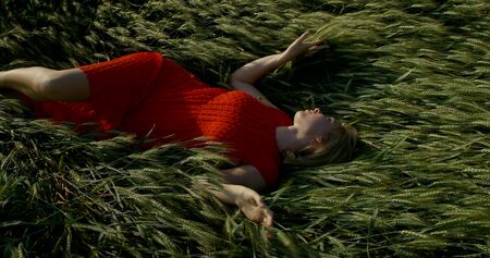 blonde woman in sensual red dress is lying on rye in field in summer, and relaxing under sunの写真素材