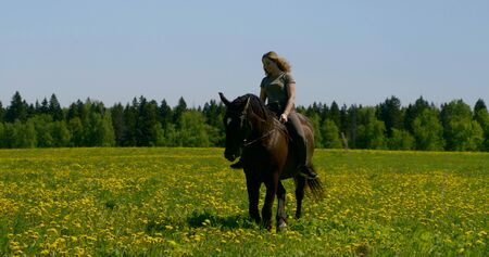 young lady with loose hair rides black horse on flower fieldの写真素材