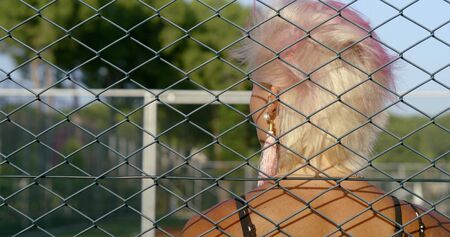 Portrait of a girl with white and short hair close-up, she stands behind a fence in a mesh on a...