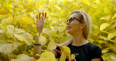 Portrait young smiling blonde girl in glasses and t-shirt, she is in the bushes of yellow leaves