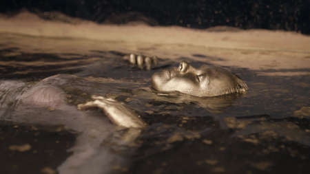 mysterious woman with golden skin in water, closed eyes, ancient goddess, artistic shotの写真素材