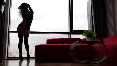 intimate dance of half-naked woman in apartment, seduction and temptation, silhouetteの写真素材
