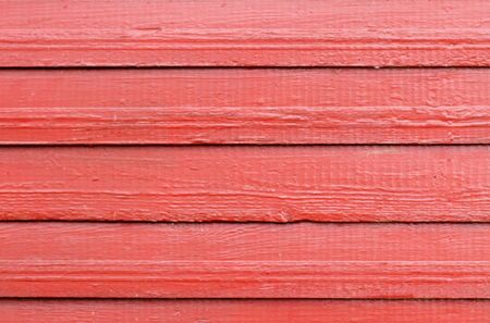 Wood texture. Tree close-up texture background. Wooden wall